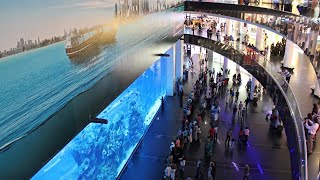 DUBAI MALL LIVE VIEW, DUBAI MALL UNDERWATER PARK, DUBAI MALL Aquarium fish world tour, dubai museum