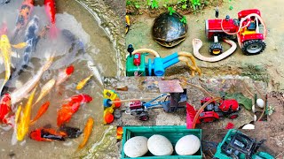 Amazing ! Catch beautiful fish using mini water pump /exciting diys/​tractor, kubota @thunafisherman