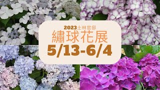 5/13-6/4士林官邸繡球花展 | 品種很多 | 值得一看 | 錯過可惜