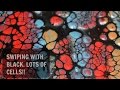 Fluid Painting | Swipe Technique | Acrylic Pour | Cells | Easy Swipe Tutorial | Jasvir Kambo