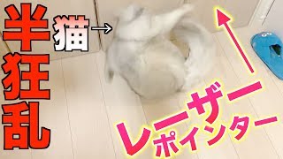 レーザーポインターで半狂乱になる猫達がおもしろすぎるw ※かなり早い動きですが早送りはしていません。【回転】