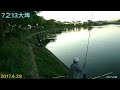 7之13福壽魚職業池ㄧ早釣友中魚鏡頭分享2017.4.29