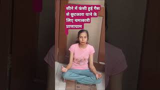 बस एक प्राणायाम सीने में फंसी हुई गैस से छुटकारा #motivation #amryoga #trending #yoga #yogafitness