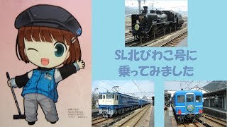 【C56 160】SL北びわこ号に乗ってみました【EF65 1128】