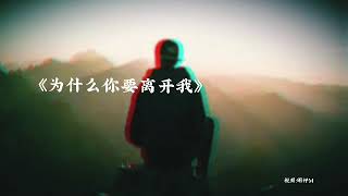 为什么你要离开我