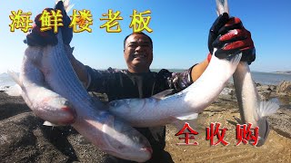 撒了50斤羊血的200平水坑，整坑沸騰全是魚，海鮮樓老板全收購