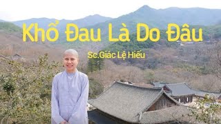 Khổ Đau Là Do Đâu - Sc.Giác Lệ Hiếu