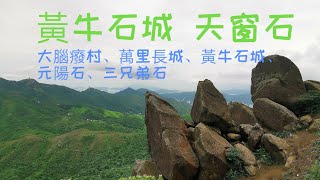 ［黃牛石城 天窗石］2020-5-24 大腦癈村 ｜萬里長城 ｜天窗石 ｜黃牛山 ｜水牛山 ｜扭紋樹 ｜元陽石 ｜豆腐石 ｜三兄弟石。