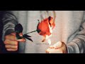 onewe prod.cya ft.baw •꽃에 물 안 주고 피길 원하네• no quiero que florezcan las flores• adaptación al español