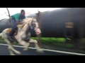 Horse riding Wajid naik