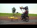 Highlight of Adam Savage's Spot Robot Rickshaw Carriage!