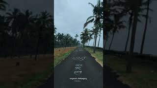 ഉണ്ണിയാൽ   | UNNIYAL   #Unniyal #Unniyalbeach #ബുദ്ധൻചിരിക്കുന്നു