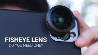 Do you need a Fisheye Lens? - SANDMARC