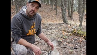 EatWild - How to skin out a deer head