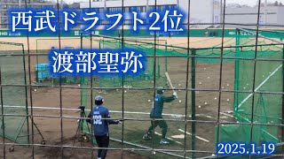 【新人合同自主トレ】西武 ドラ2 渡部聖弥 フリーバッティング