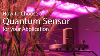 Choosing a Quantum Sensor