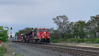 CN 531 at Central Terminal