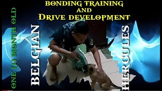 BONDING TRAINING AND DRIVE DEVELOPMENT