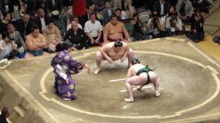 Sadanoumi (5-4) - Endo (6-3) , Sumo : Natsubasho '16