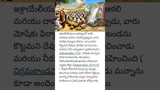 ఇశ్రాయేలీయులకు అరణ్యంలో దేవుడిచ్చిన ఆహారం మన్నా, నీరు #bible