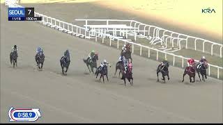 (Seoul) 2023.11.18 R7 Class 4 (1300M) Handicap