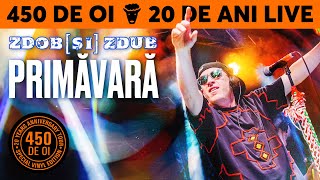 Zdob și Zdub — Primăvară (450 de oi / 20 de ani Live)