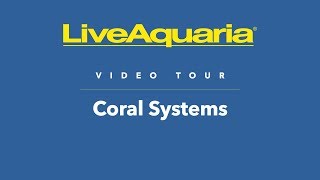 LiveAquaria® Video Tour: Coral Systems