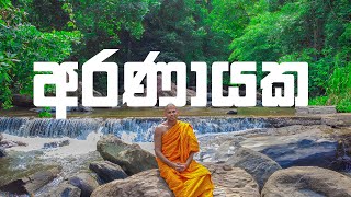 අසුපිණි ඇල්ල | Asupini Ella | Aranayaka |