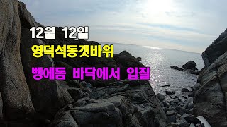 영덕석동 갯바위 벵에돔들 뜨지를 않네요.