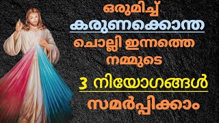 നമുക്ക് ഏറ്റവും അത്യാവശ്യമായ മൂന്ന് നിയോഗങ്ങൾ സമർപ്പിച്ച് കരുണക്കൊന്ത ചൊല്ലാം..തീർച്ചയായും ലഭിക്കും