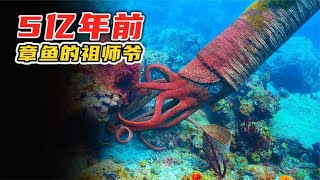 房角石堪称5亿年前海洋霸主，却一只三叶虫都抓不到，动物纪录片