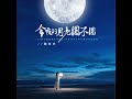 今夜的月亮圆不圆 dj京仔版 伴奏