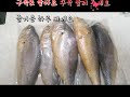 부세조기 손질법 저장방법