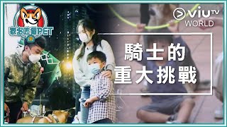 《家多咗個PET》EP 9 - 騎士的重大挑戰