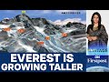 Mount Everest is Growing Even Taller. Here’s why | Vantage with Palki Sharma