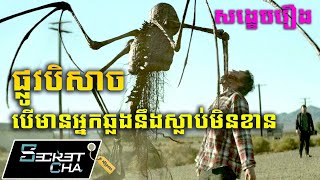 ផ្លូវវាលខ្សាច់មួយកន្លែង នៅពេលមានអ្នកឆ្លងនឹងជួបបិសាចមិនខាន - សង្ខេបរឿង Southbound (Secret Cha)