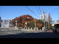 【full hd】音無親水公園の紅葉｜otonashishinsui park autumn leaves（autumn colors）｜kita ku tokyo japan