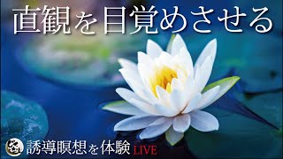 ◾前半【誘導瞑想】「直感を目覚めさせ本来望む方向へあなたを導く」をカネケンが体験する　◾後半【こうたが瞑想中に起きた不思議体験】