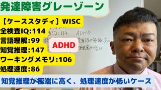 【ケーススタディ】WISC全検査IQ114言語理解99知覚推理147ワーキングメモリ106処理速度86、ADHD、知覚推理が極端に高く、処理速度が低いケース。発達障害グレーゾーン