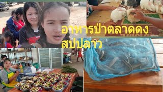 เลาะตลาดดงเบิ่งอาหารป่าเมืองไชพูทองแขวงสะหวันนะเขต ເລາະຕະຫຼາດດົງເມືອງໄຊພູທອງ