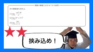 【数学Ⅲ】極限(12/18)：関数の極限とはさみうちの原理