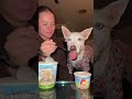 movie night and giving my dog ice cream😋🍦 dogshorts movienight dog pets icecream puppy vlog