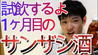 1ヶ月目のサンザシ(山査子)酒を試飲しました!!