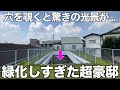 【豪邸シリーズ】超緑化されたネイチャー豪邸を内見！