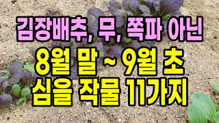 8월 말 ~ 9월 초 심을 작물 11가지(김장배추, 무, 쪽파 아닌)