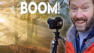 The Most Epic 5 Days of Woodland Photography (I have ever had!)