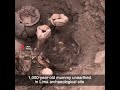 1 000 year old mummy unearthed in lima archaeological site shorts