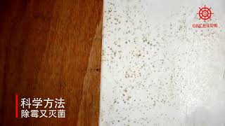 佳尼斯強力型除霉劑 家用墻體除霉劑佳