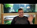 buying 30 cichlids at auction unboxing tank walkthrough