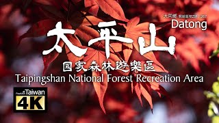 【推薦影片】【4K】20230417 @ 太平山國家森林遊樂區 Taipingshan National Forest Recreation Area (請開啟字幕觀賞)